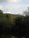 24133 Castle between trees.jpg